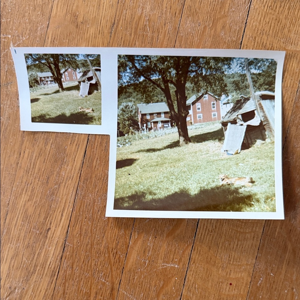 Vintage Photo Collection - Picture 6 of 11